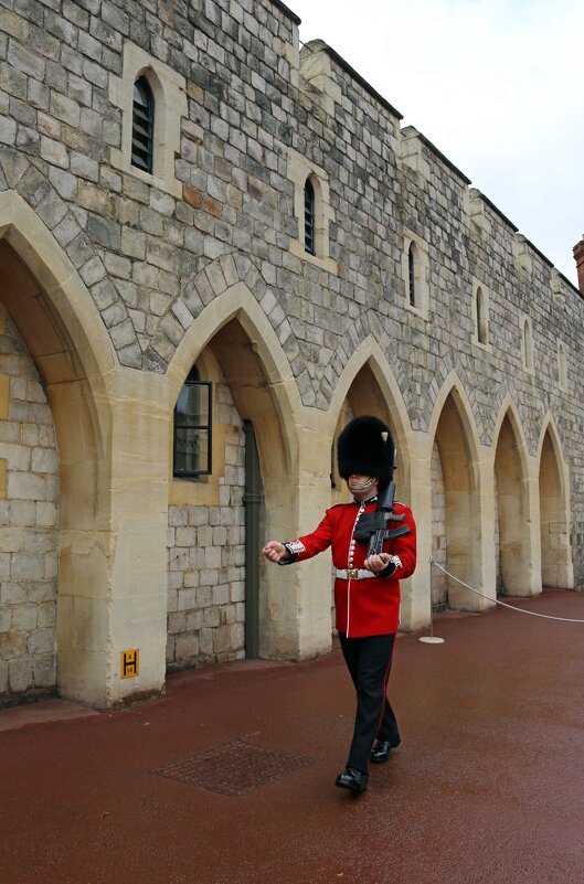 Бравая гвардия - Ольга Бравая гвардия - Ольга