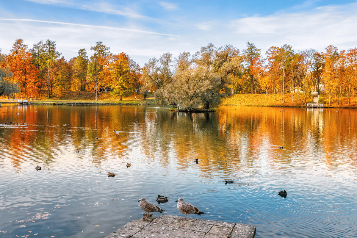 Гатчина. Осень. - Владимир Колесников