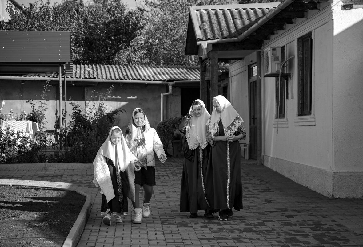 "-" - Светлана Фокша