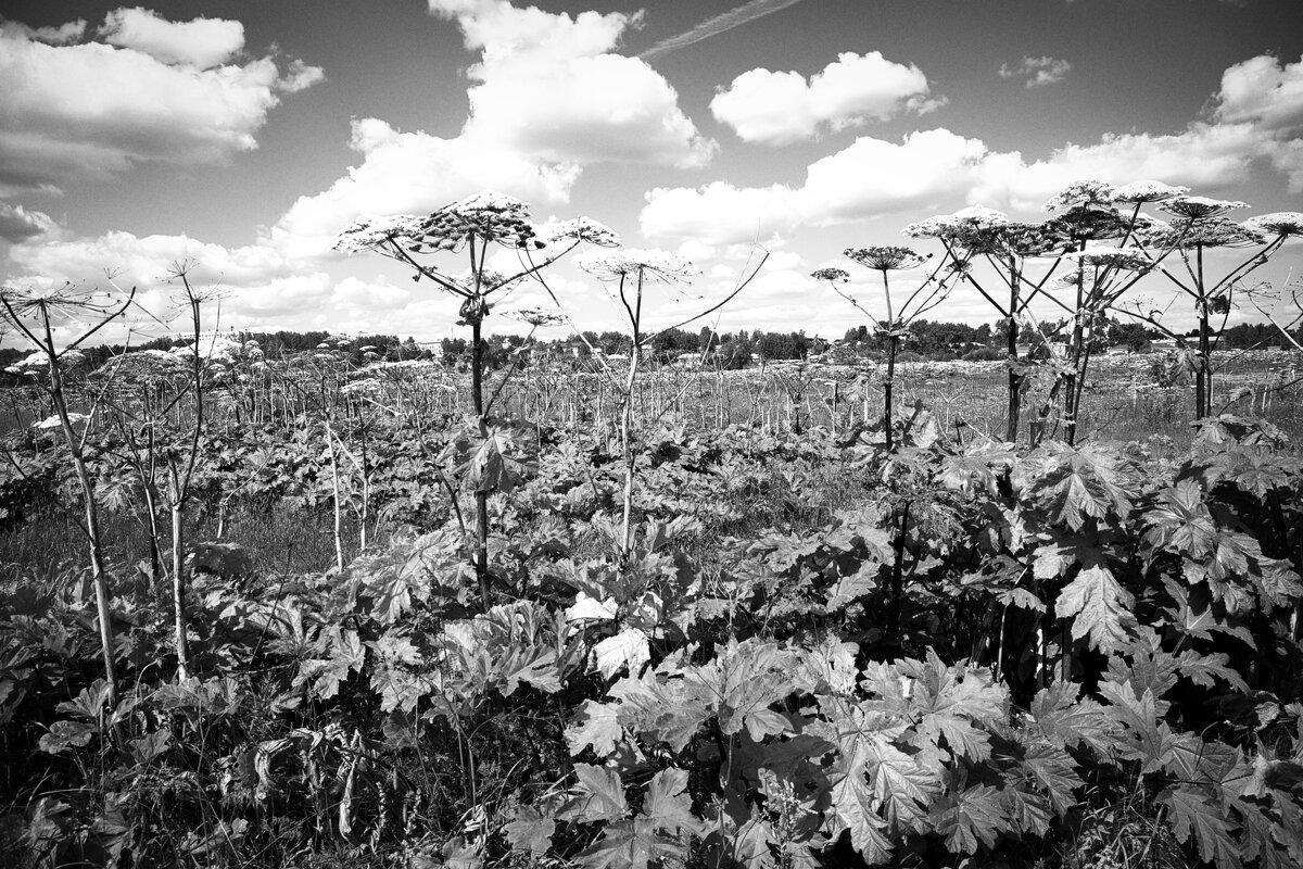 Фотография - Денис Безногов