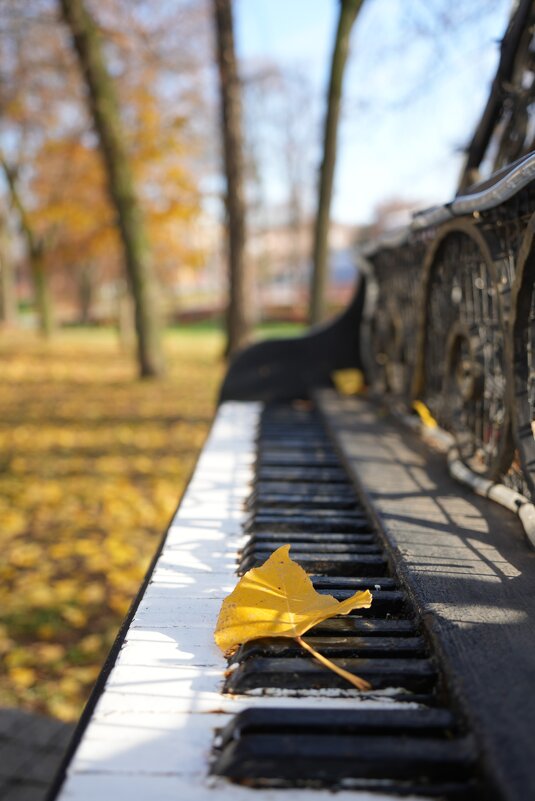 Ноябрь ... начало - Lersa 