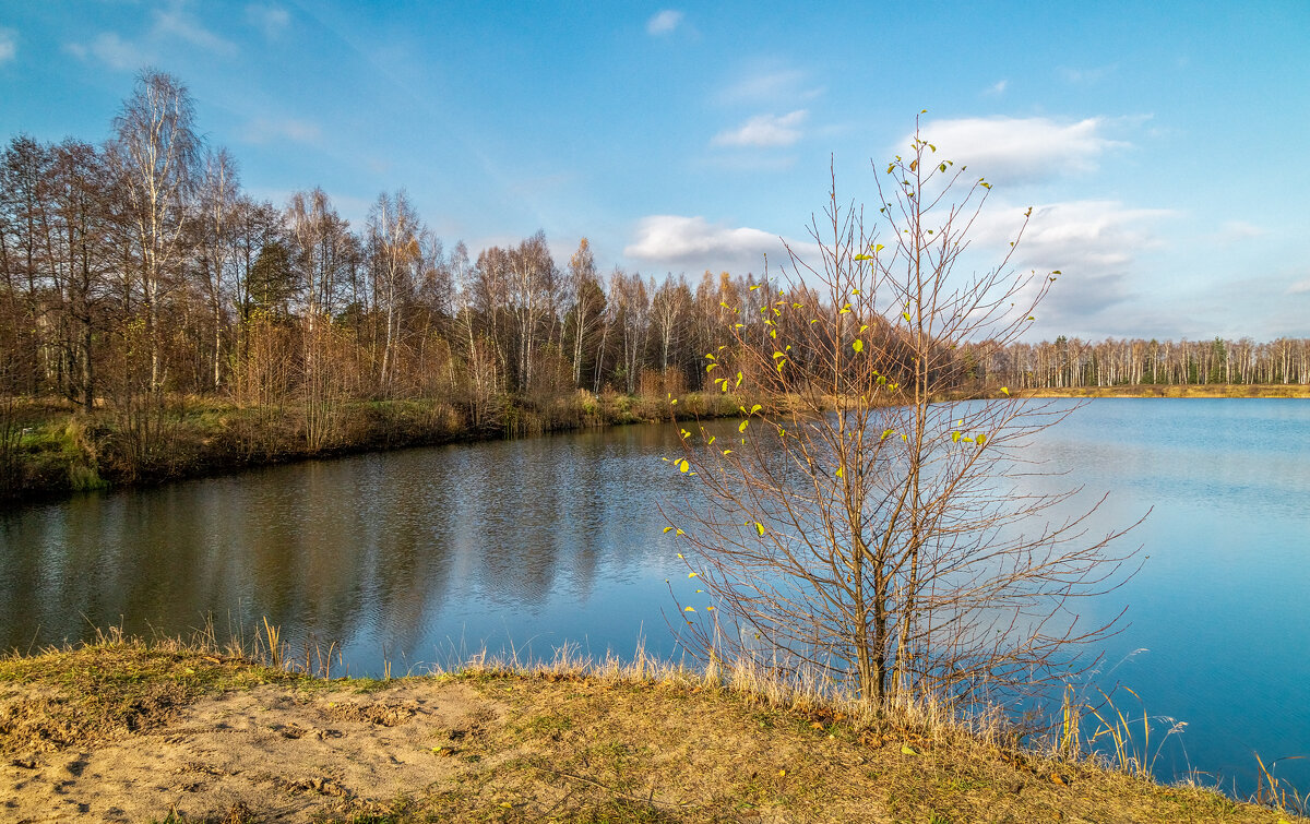 Осень не сдаётся - Андрей Дворников