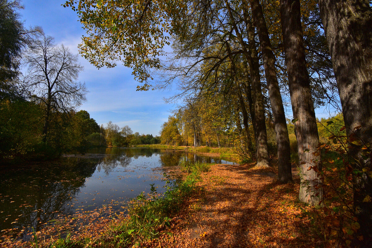 У озера - Oleg S 