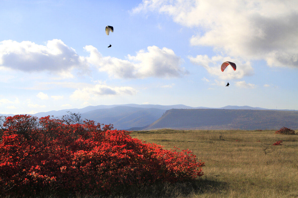 Скумпия и Парапланы - Геннадий Валеев