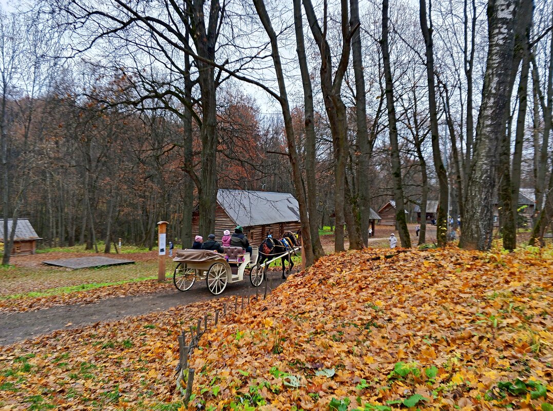Щелоковский хутор осенью - Алексей Р.