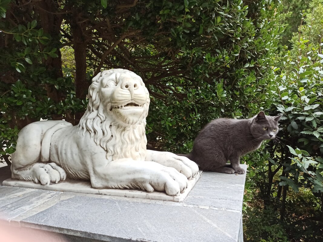 Львы в Гурзуфском парке. Крым. - Галина Львы в Гурзуфском парке. Крым. - Галина