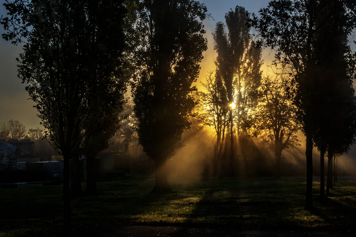 *** - Игорь Протасов