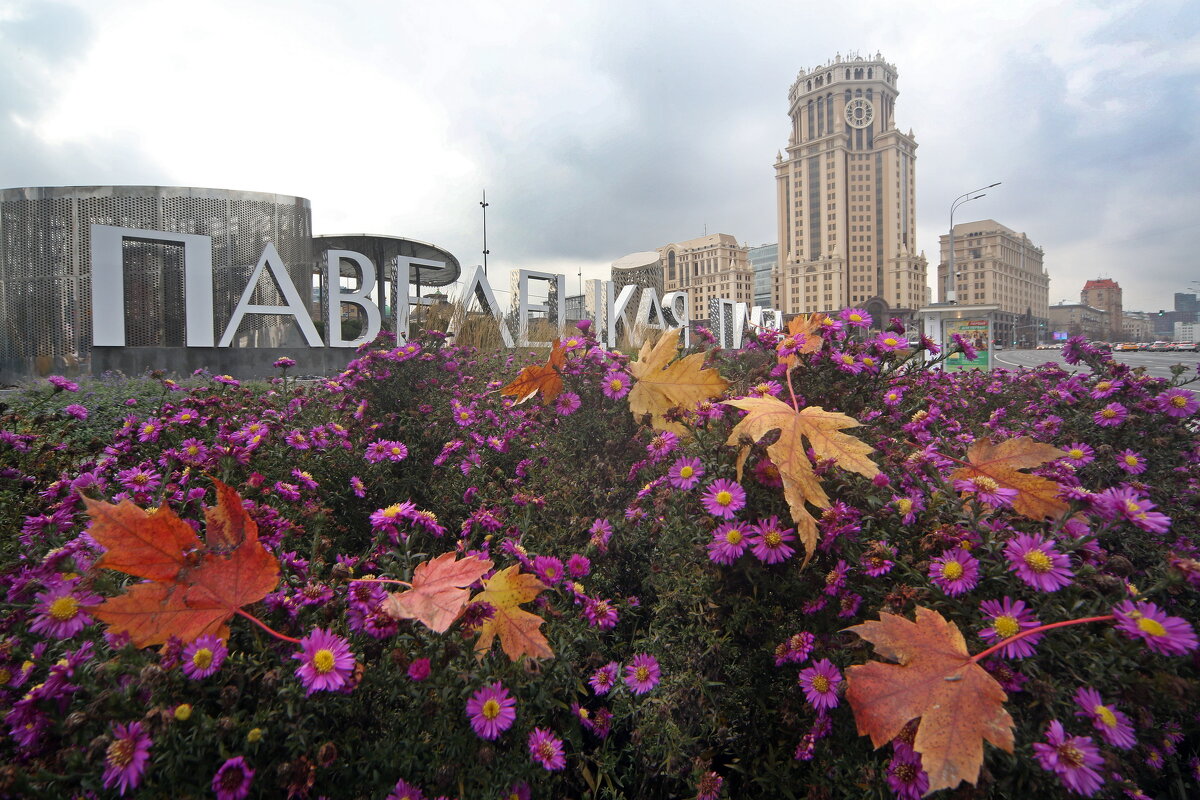 Павелецкая 2 ноября - Михаил Бибичков