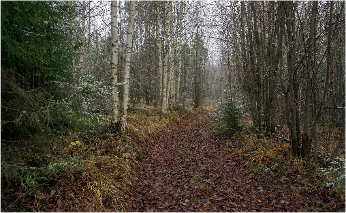 И наступил ноябрь... - Валентин Котляров И наступил ноябрь... - Валентин Котляров