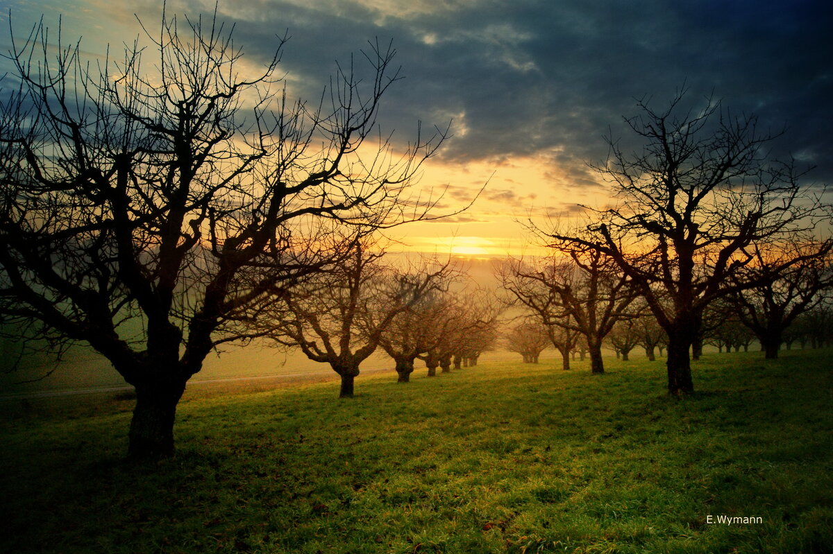 sunset - Elena Wymann