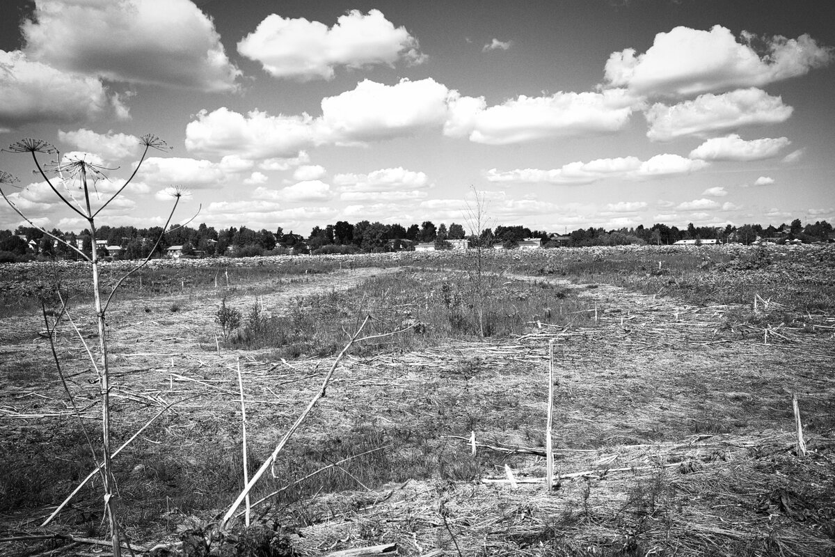 Фотография - Денис Безногов