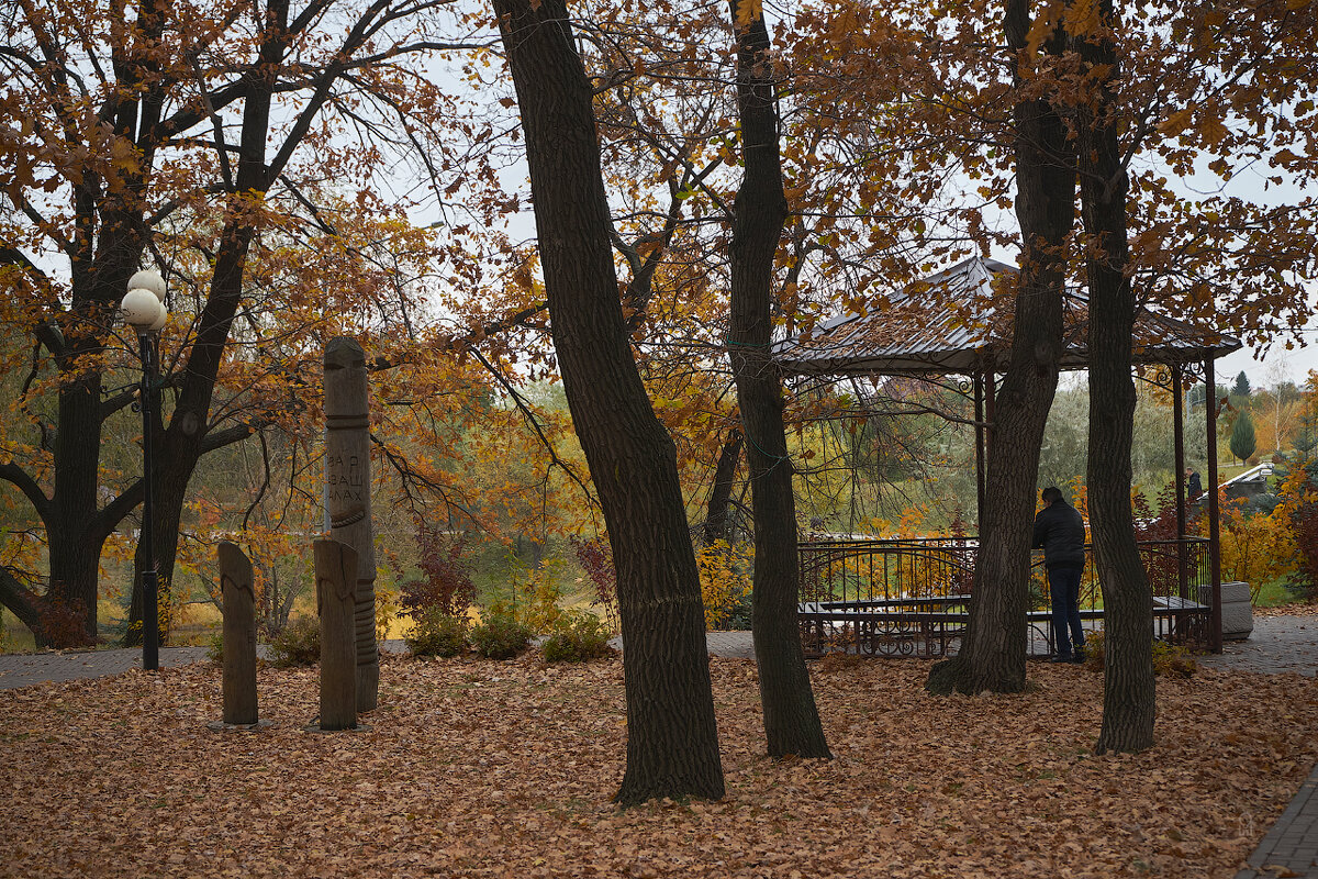 Осень в Новокуйбышевске - Олег Манаенков
