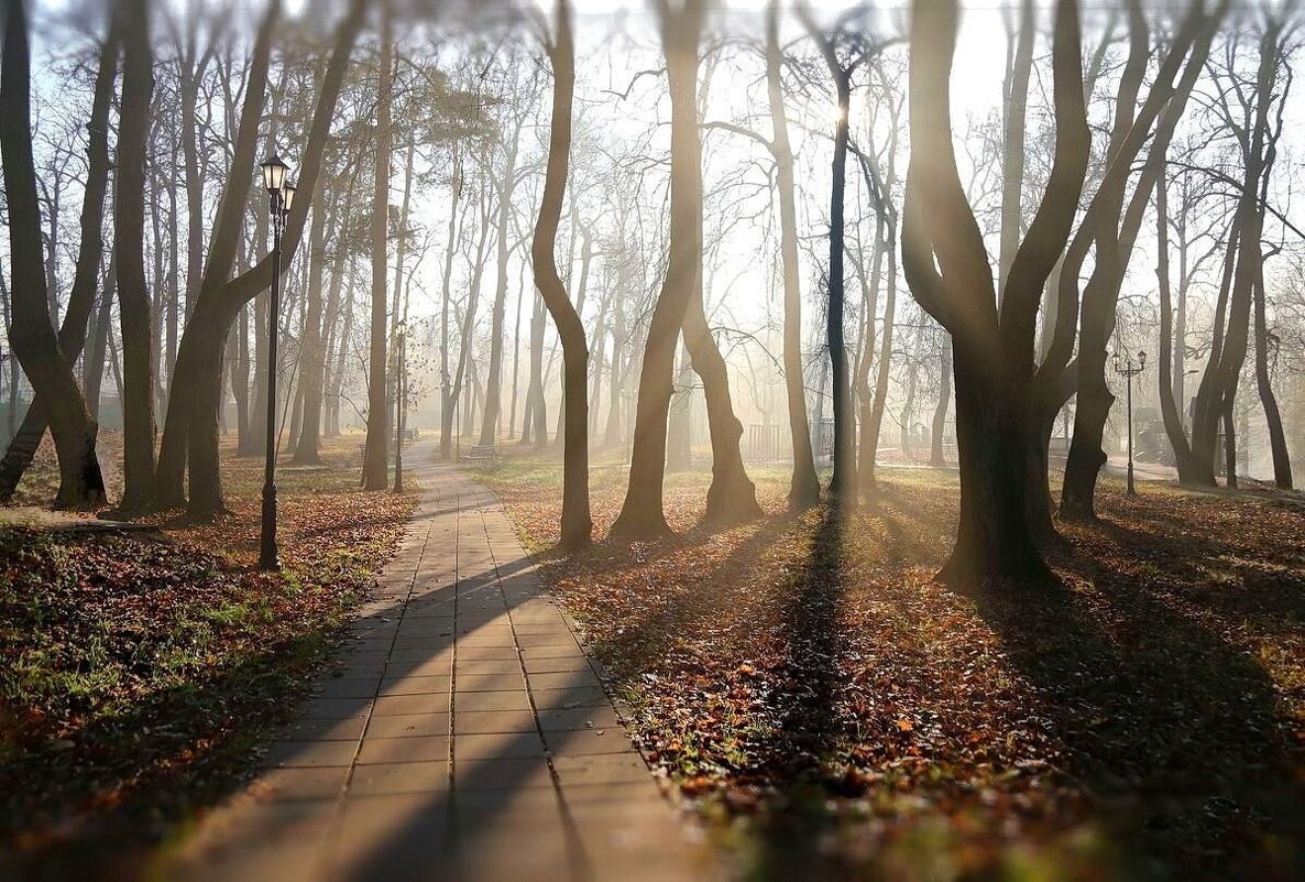 Туманно - ZNatasha -