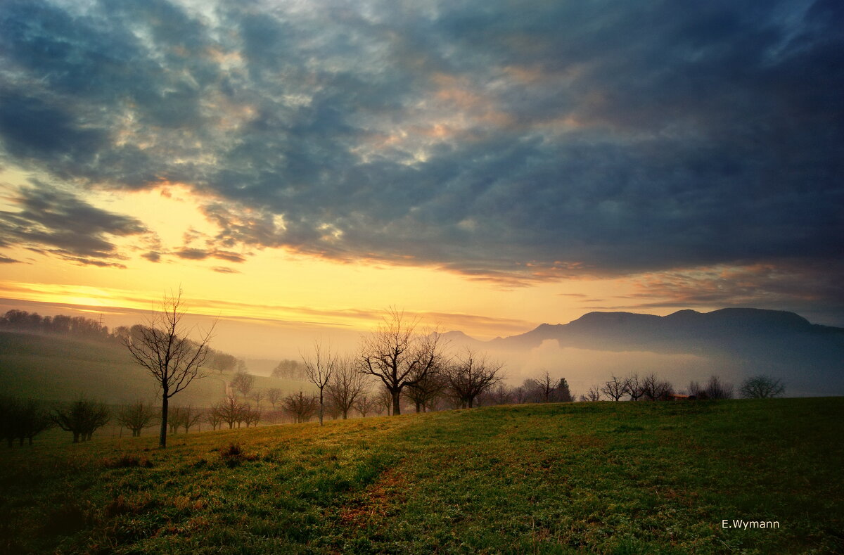 sunset - Elena Wymann