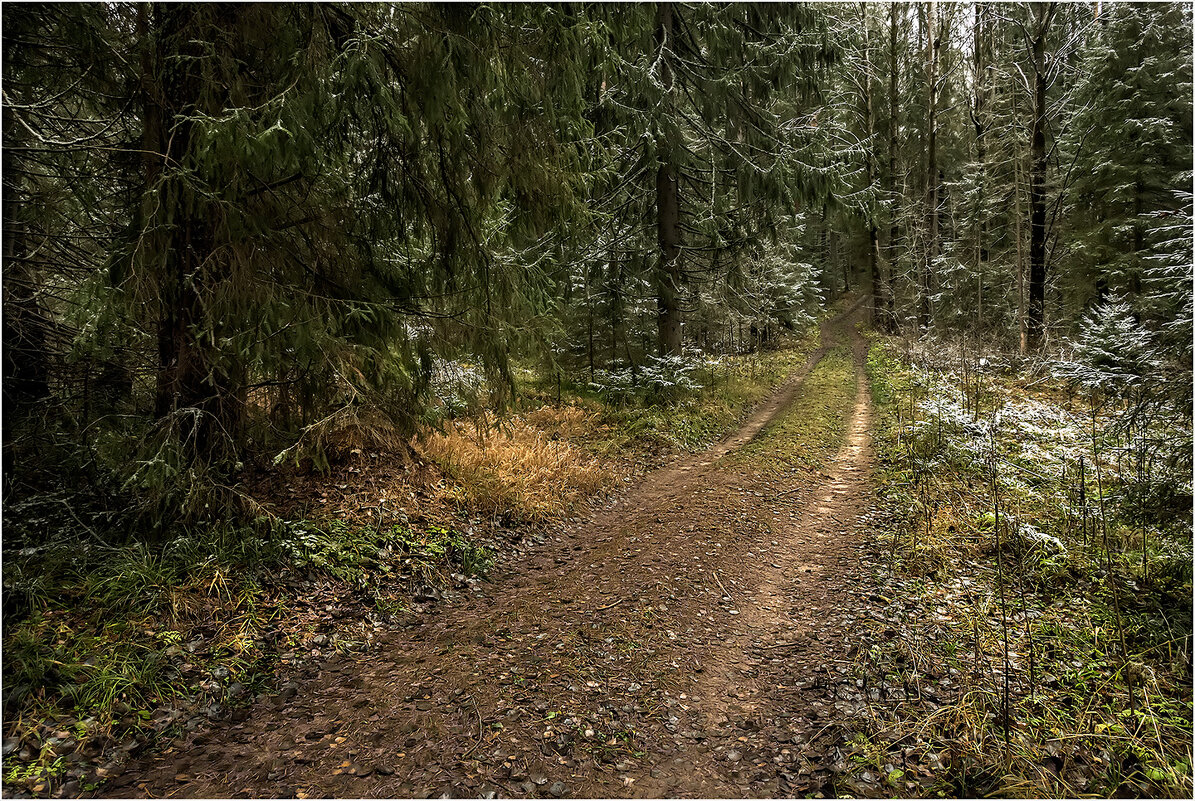 Лесная дорога - Валентин Котляров