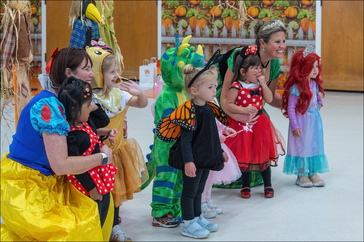 "Фотограф щелкает, и птичка вылетает" - **** vedin