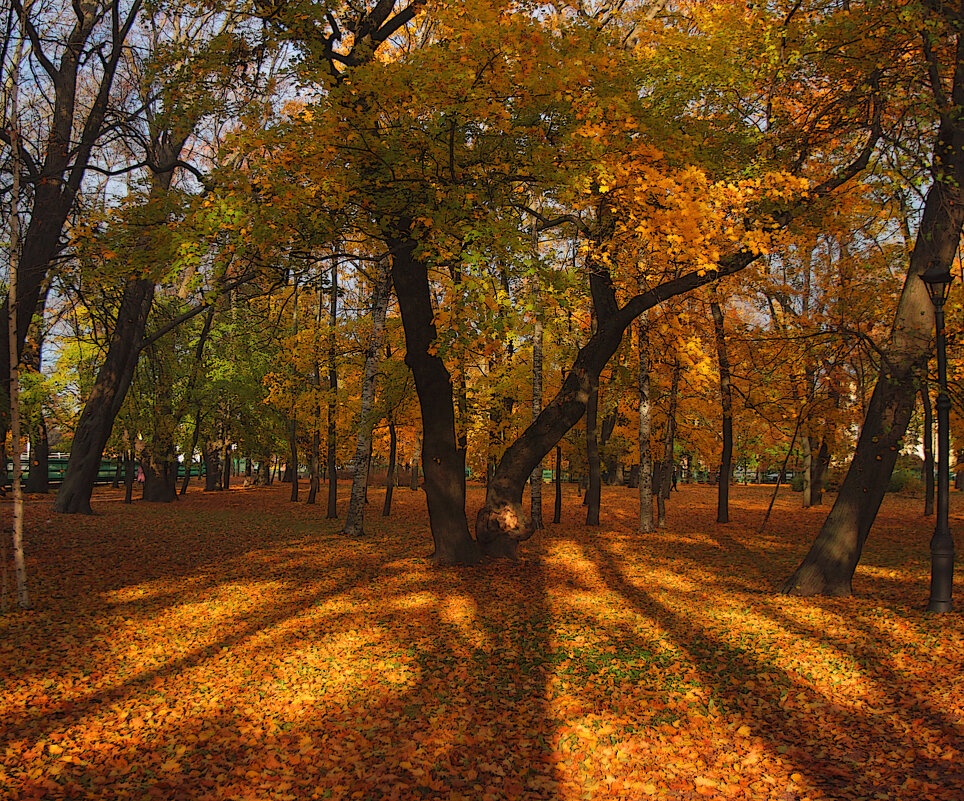 *** - Сергей Григорьев