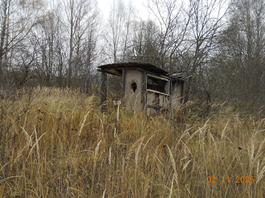 заброшка - fogmeadowww m