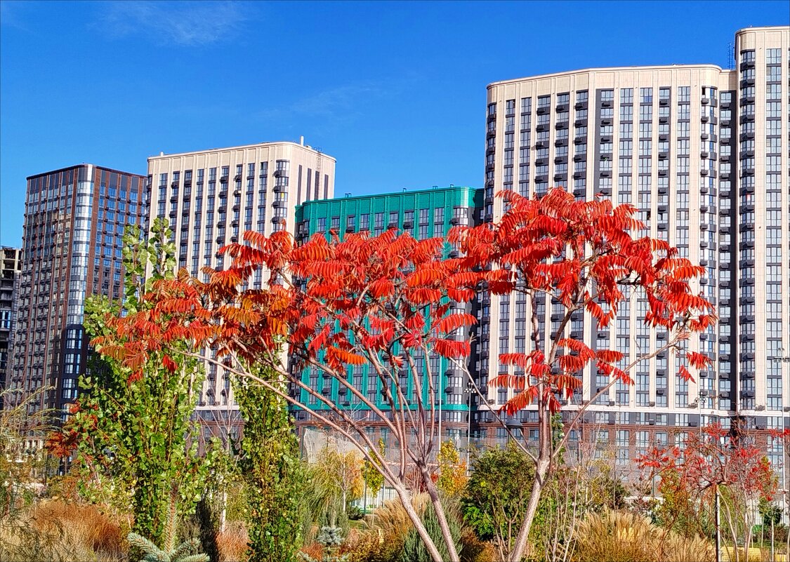 Красота! - Надежда 