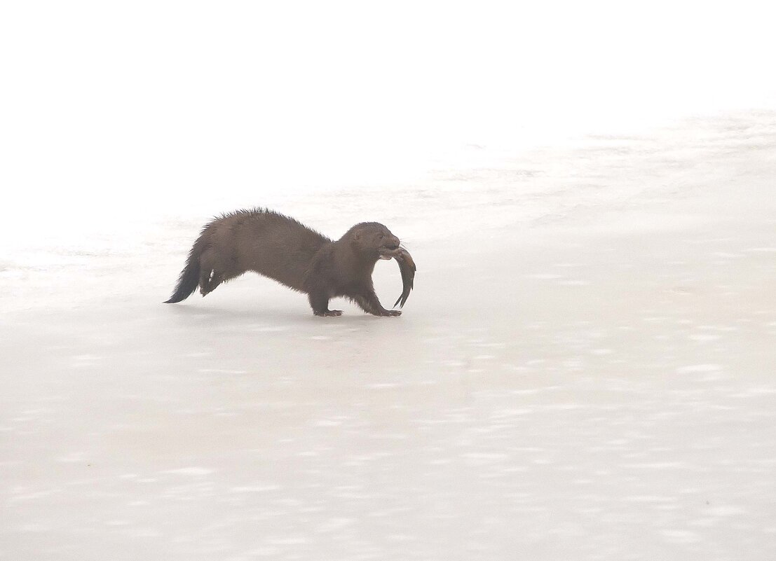 Всё лучшее - детям! - Михаил Белоусов