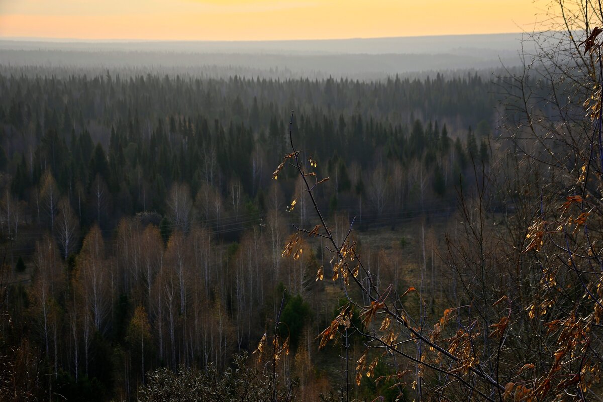 - - Владимир Мигонькин