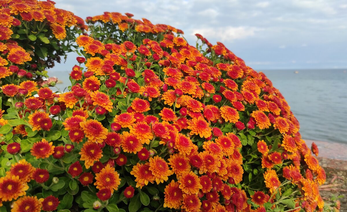 Октябрь у моря - Татьяна Лютаева