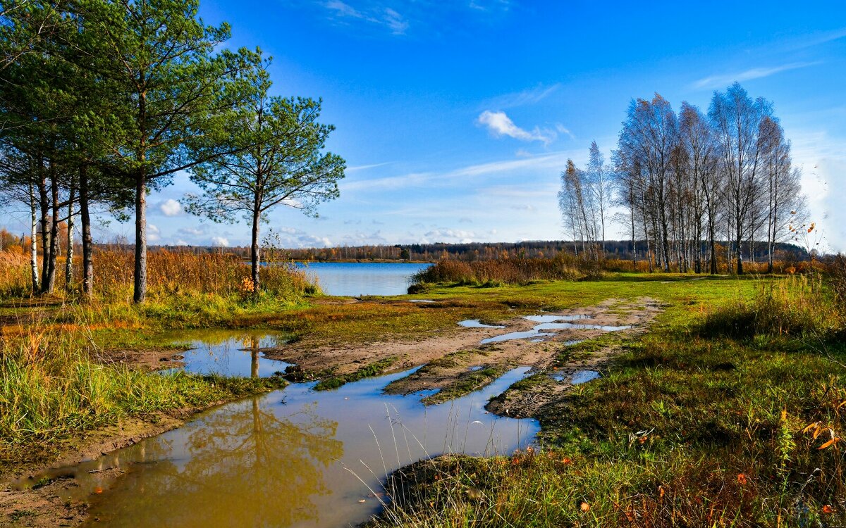 Природа после дождя (репортаж из поездок по области). - Милешкин Владимир Алексеевич 