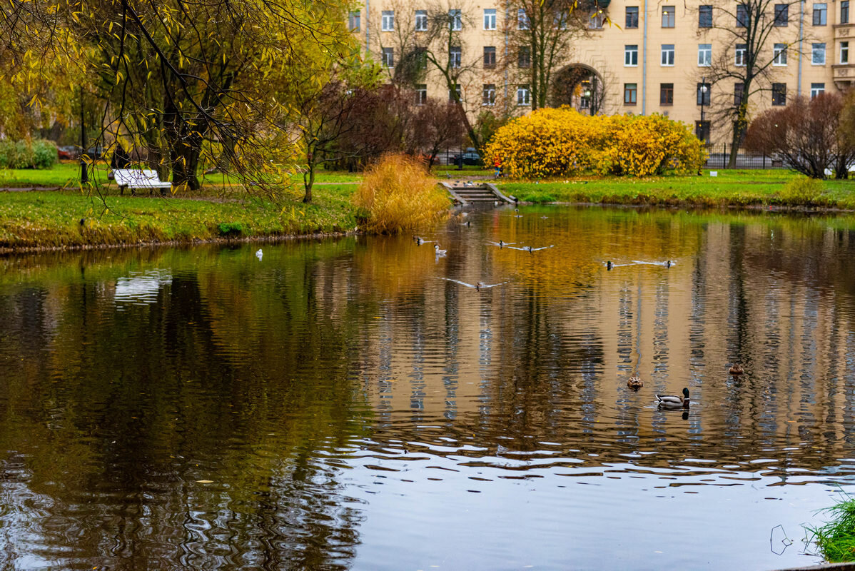 Пруд - Дмитрий Лупандин