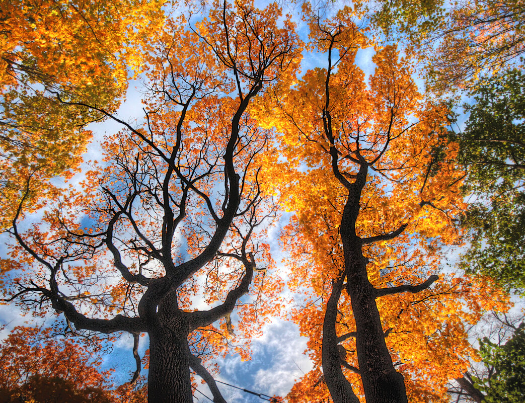 *** - Сергей Григорьев