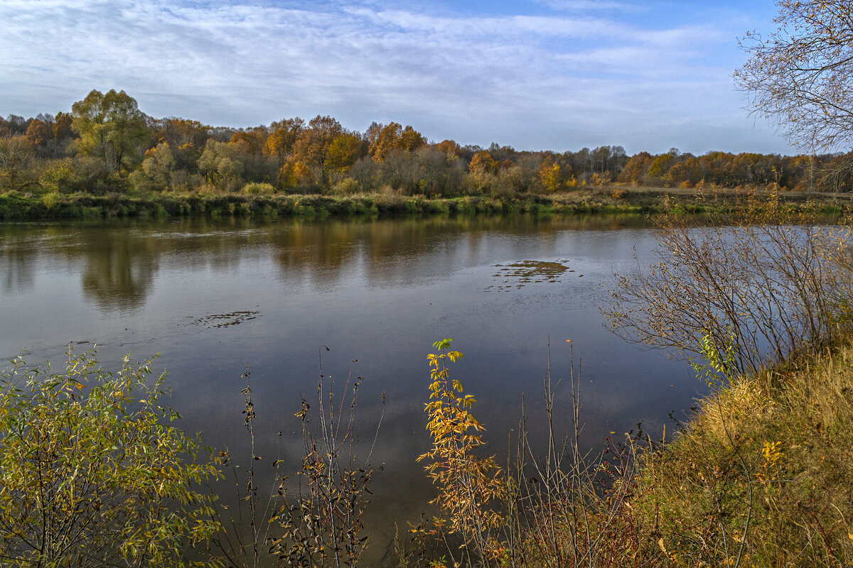 Клязьма осенняя - Сергей Цветков