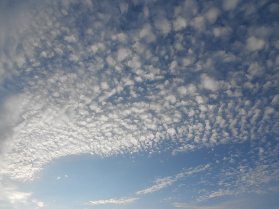 облака - Елена Шаламова