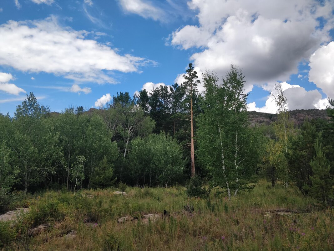 Летняя пора - Андрей Хлопонин