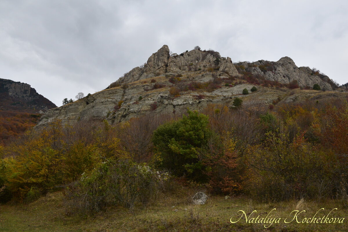 Природа Крыма - Amazing Cosmea
