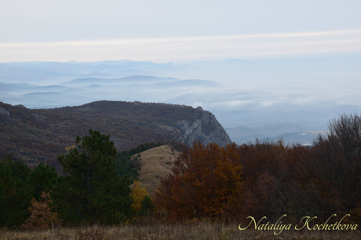 Природа Крыма - Amazing Cosmea