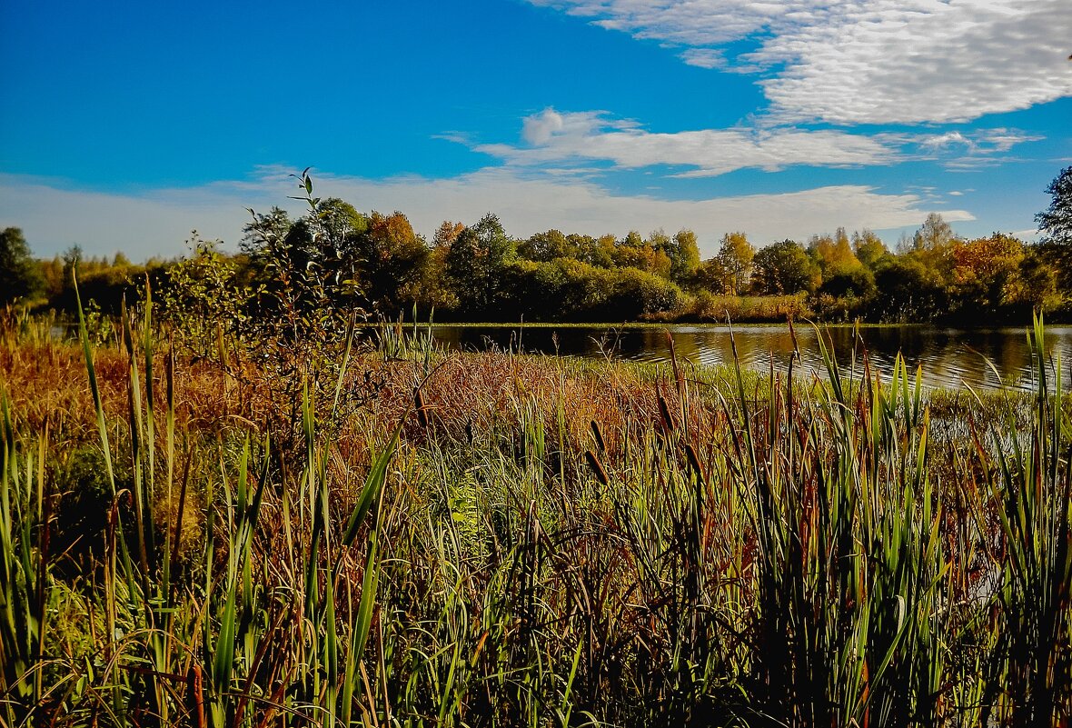 *** - Андрей Андрианов *** - Андрей Андрианов