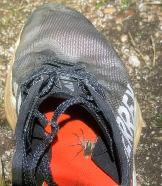 Утро туриста... - Георгиевич 