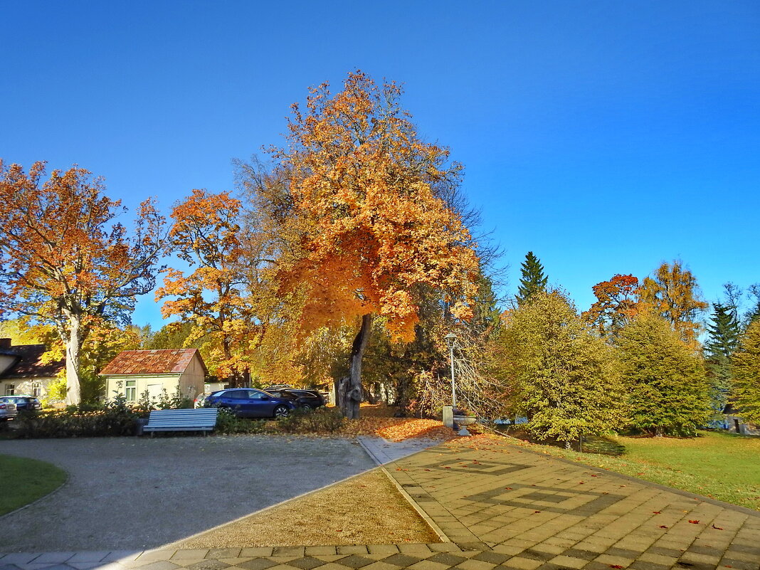 осень - ИННА ПОРОХОВА