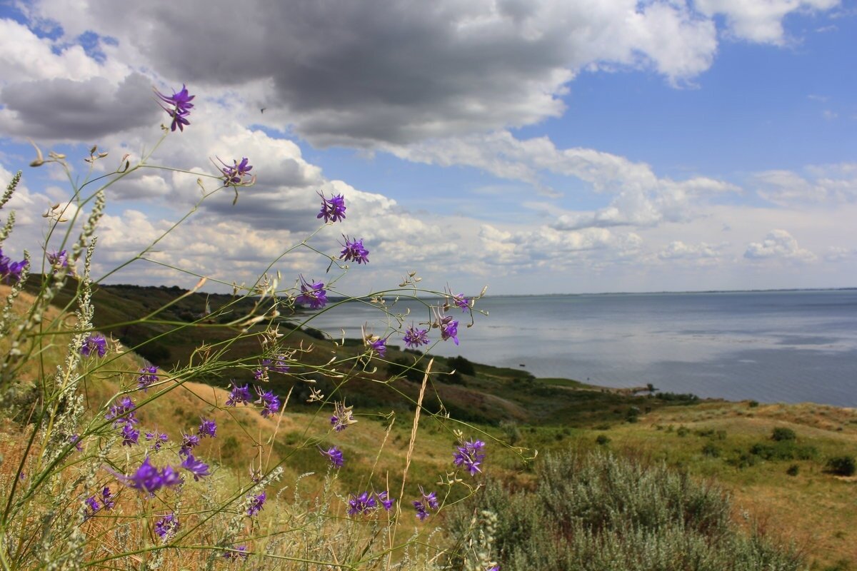 Мержаново - Оксана Новик 