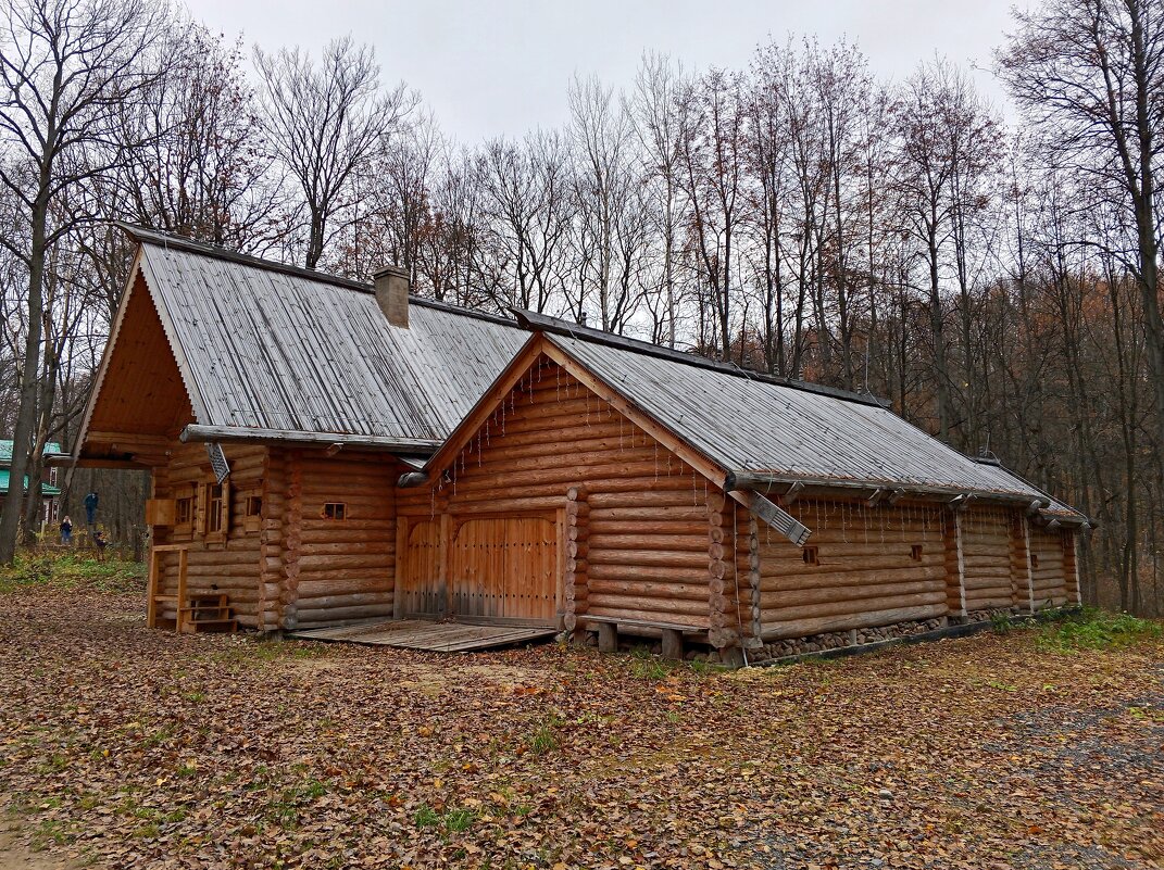 Изба Салтыкова - Алексей Р.