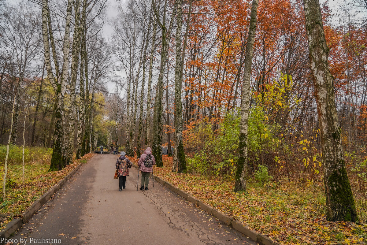 В осеннем парке... - Владимир Жданов