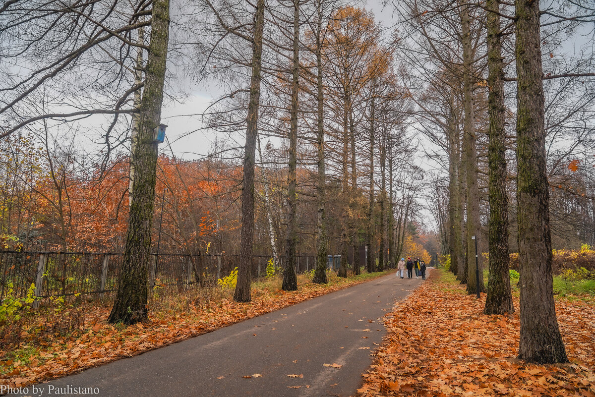В осеннем парке... - Владимир Жданов
