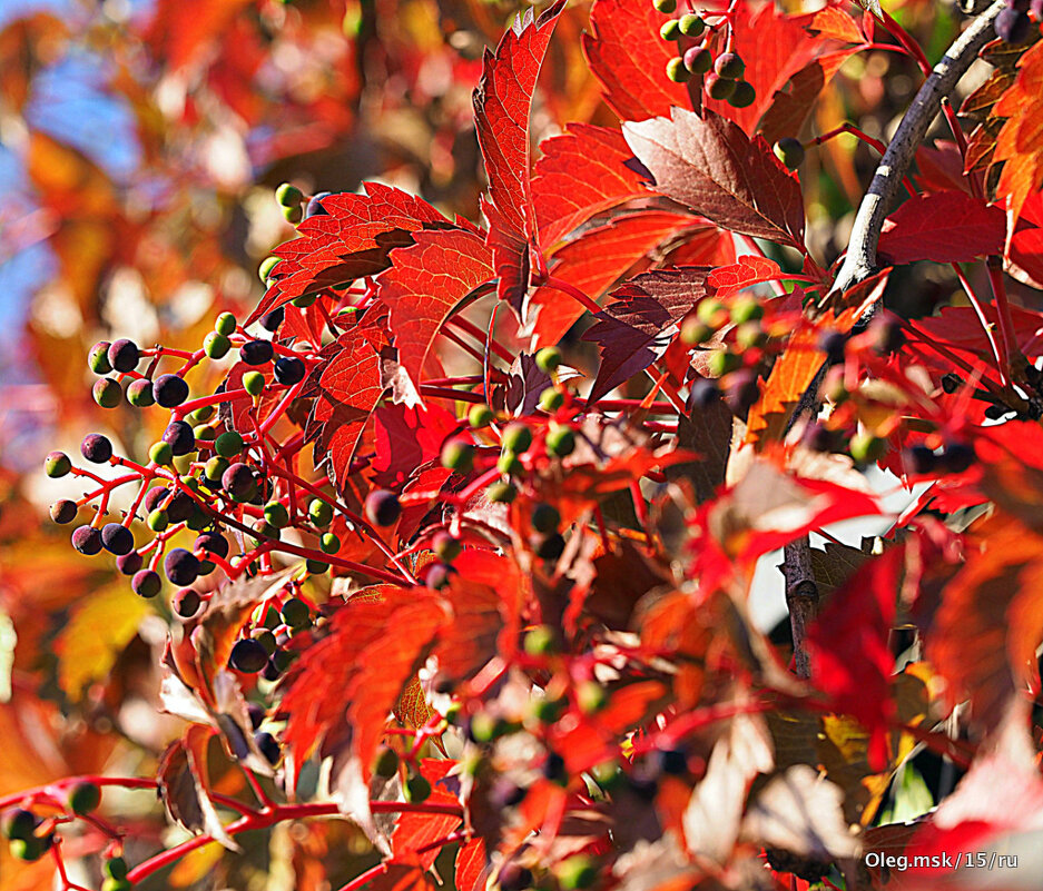 осень настроение - Олег Лукьянов