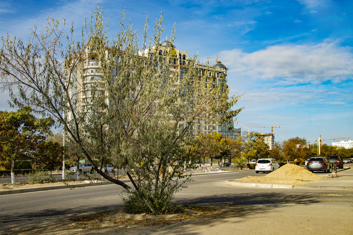 Актау - Анатолий Чикчирный