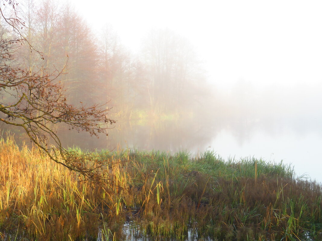 Туман над озером - Андрей Снегерёв Туман над озером - Андрей Снегерёв