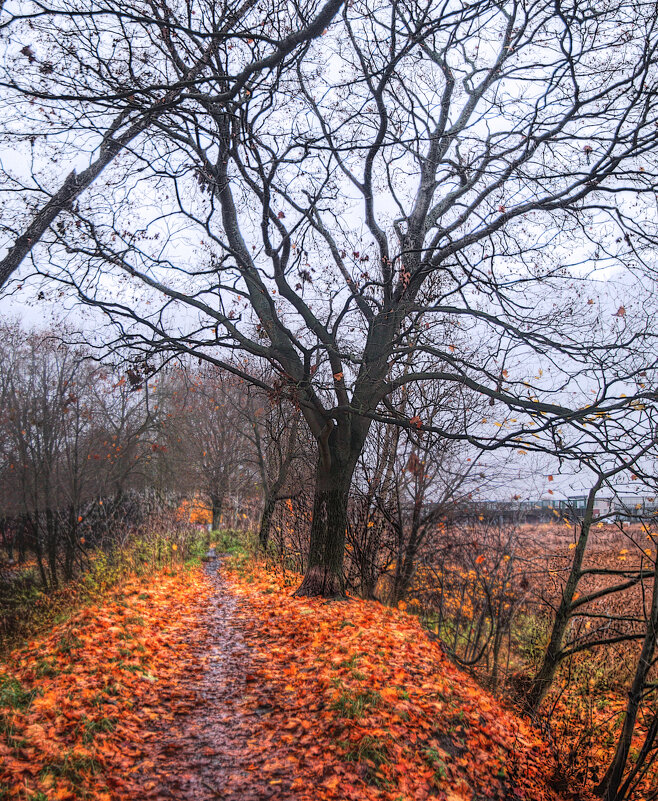 *** - Сергей Григорьев