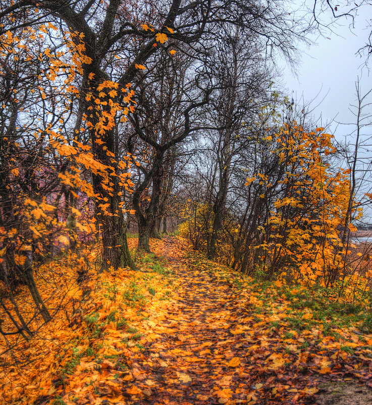 *** - Сергей Григорьев