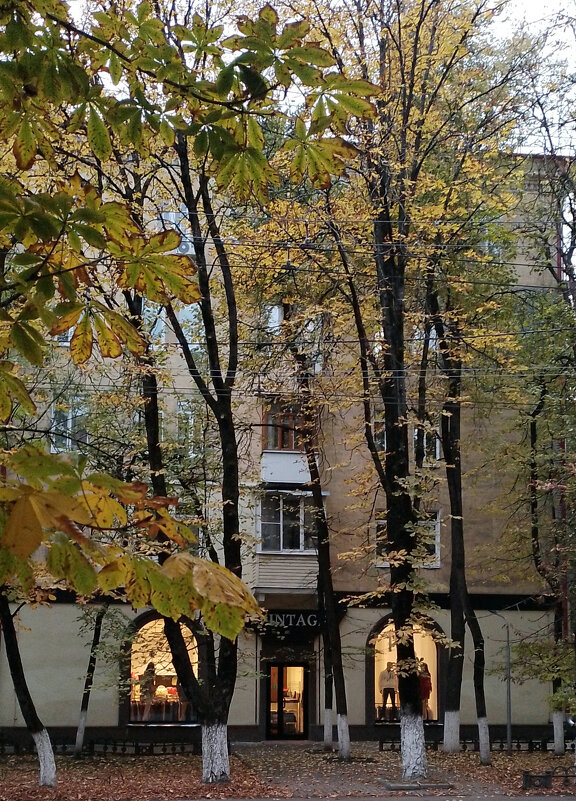 *** - Валентина Береснева