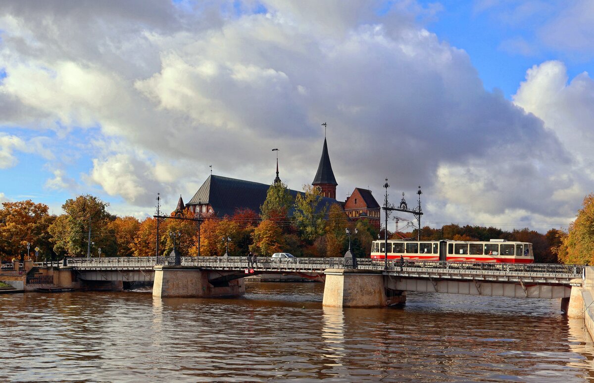 Дровяной мост и собор - Сергей Карачин