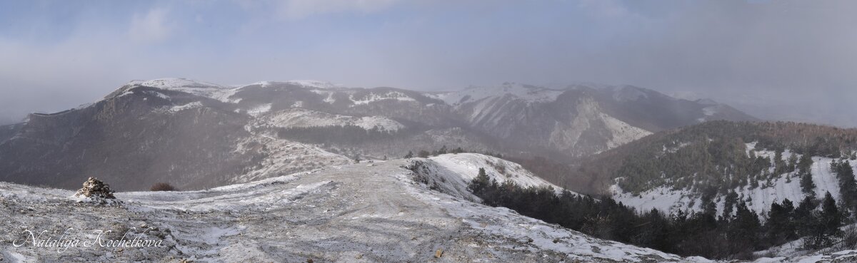 Природа Крыма - Amazing Cosmea
