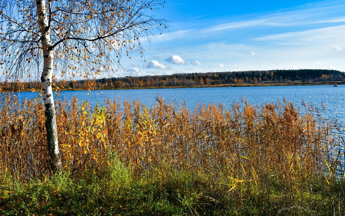 Осень на Смоленщине. - Милешкин Владимир Алексеевич 